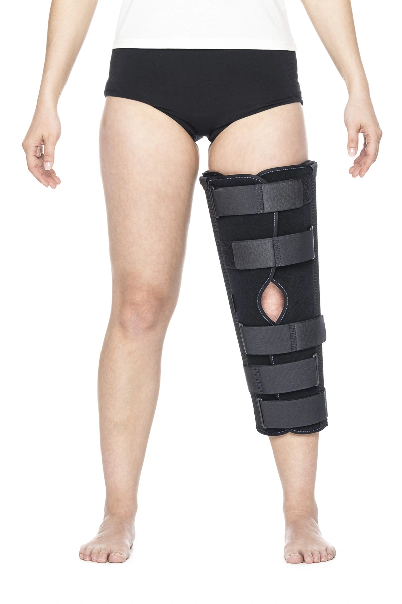 Genou · Cuisse